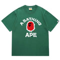 BAPE Brush College Tee - Green, Khaki & Orange